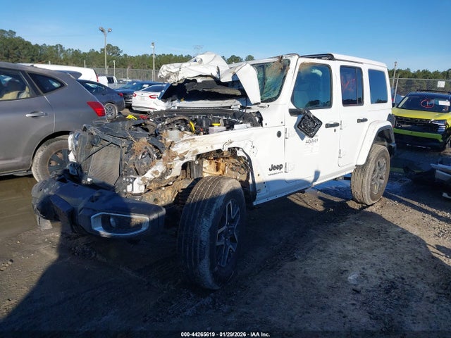 2025 JEEP WRANGLER 1C4PJXEN1SW528333 Photo 1
