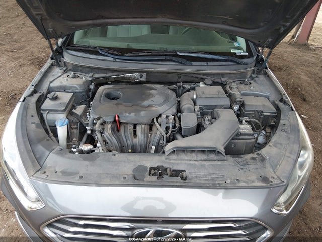 5NPE24AF7KH800665 Hyundai SONATA SE