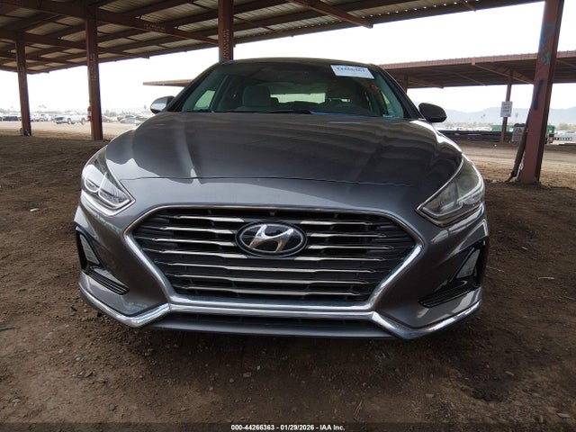 5NPE24AF7KH800665 Hyundai SONATA SE