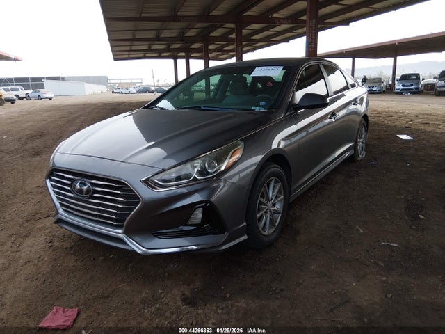 5NPE24AF7KH800665 Hyundai SONATA SE