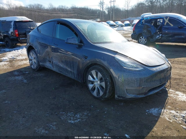 2023 TESLA MODEL Y 7SAYGDEE2PF616615 Photo 0