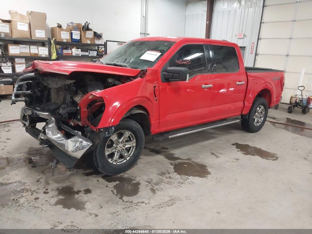 1FTFW1E52MKD61498 Ford F-150 Xlt