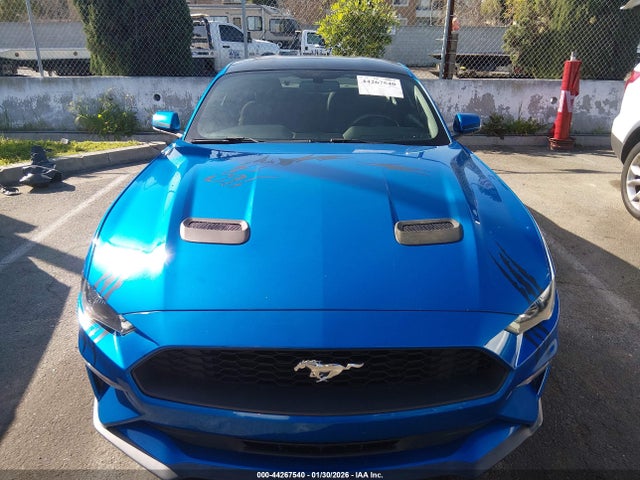 Ford Mustang Ecoboost Fastback 2020 1FA6P8THXL5176833 Image 12