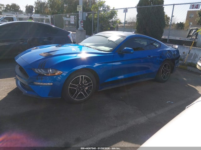 Ford Mustang Ecoboost Fastback 2020 1FA6P8THXL5176833 Image 14