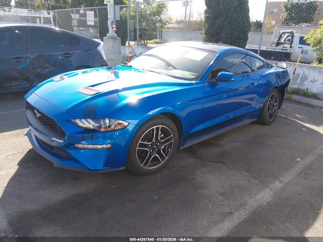Ford Mustang Ecoboost Fastback 2020 1FA6P8THXL5176833 Image 2