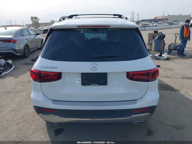 W1N4M4GB1LW025228 Mercedes-Benz GLB 250