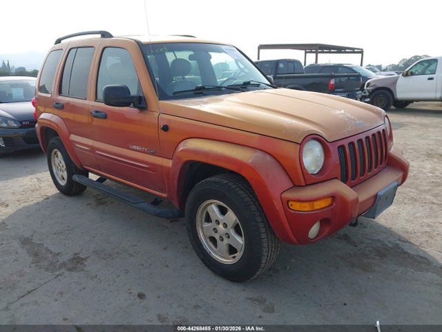 2002 JEEP LIBERTY 1J8GL58K42W144233