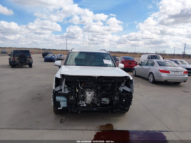 KM8RM5S29TU041257 Hyundai Palisade Calligraphy