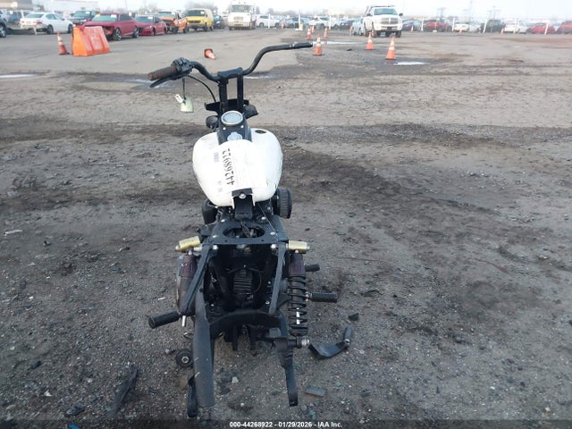 1HD1VAM33GC324759 Harley-Davidson Fxdbp Dyna Street Bob