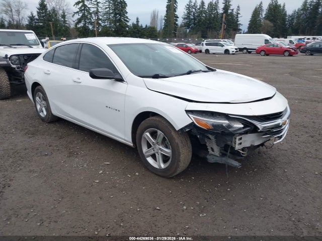 2019 CHEVROLET MALIBU 1G1ZB5STXKF224455
