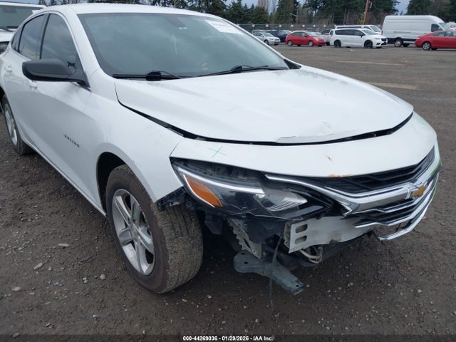 1G1ZB5STXKF224455 Chevrolet Malibu 1ls