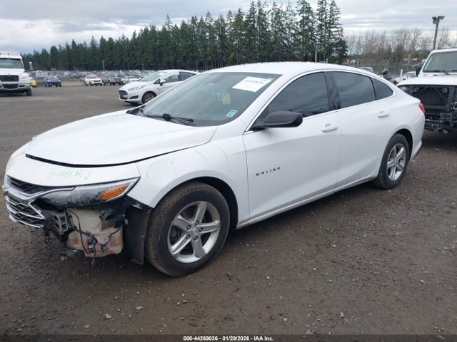2019 CHEVROLET MALIBU 1G1ZB5STXKF224455 Photo 1