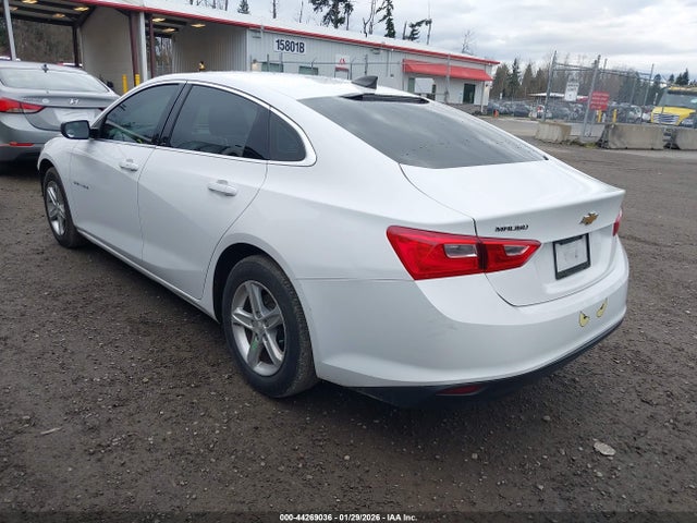 2019 CHEVROLET MALIBU 1G1ZB5STXKF224455 Photo 2