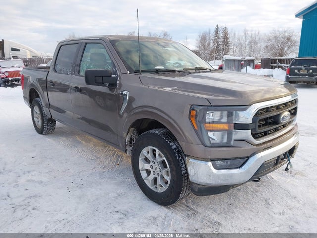 Ford F-150 Xlt 2023 1FTFW1E89PFB69793 zdjęcie główne
