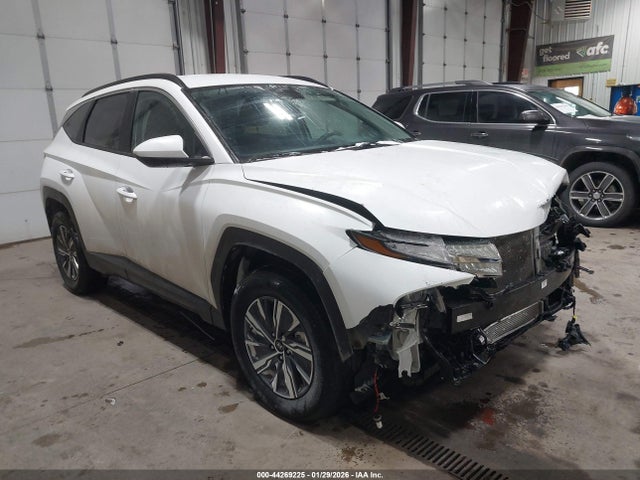 2024 HYUNDAI TUCSON HYBRID KM8JBCD12RU205436