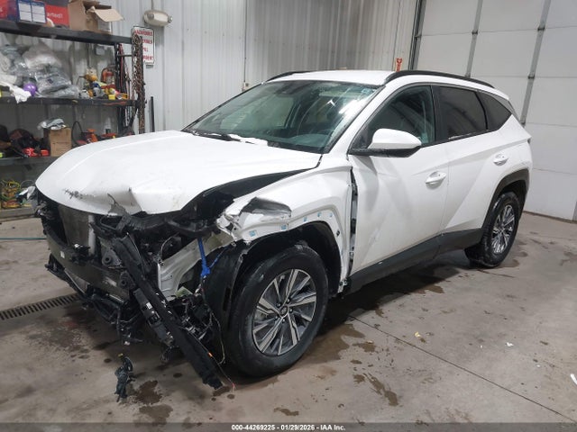 2024 HYUNDAI TUCSON HYBRID KM8JBCD12RU205436 Photo 1