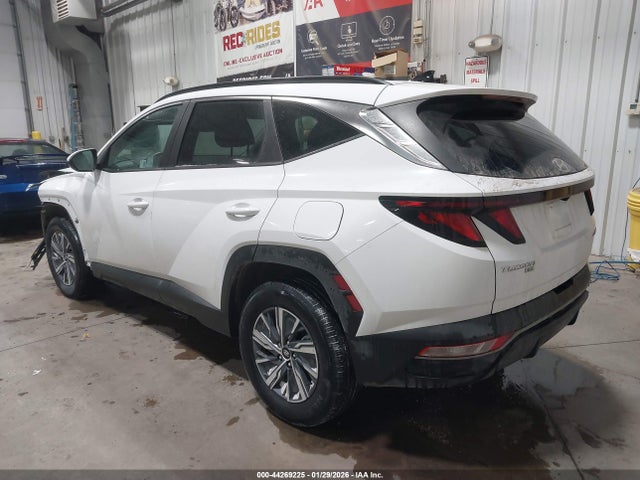 2024 HYUNDAI TUCSON HYBRID KM8JBCD12RU205436 Photo 2