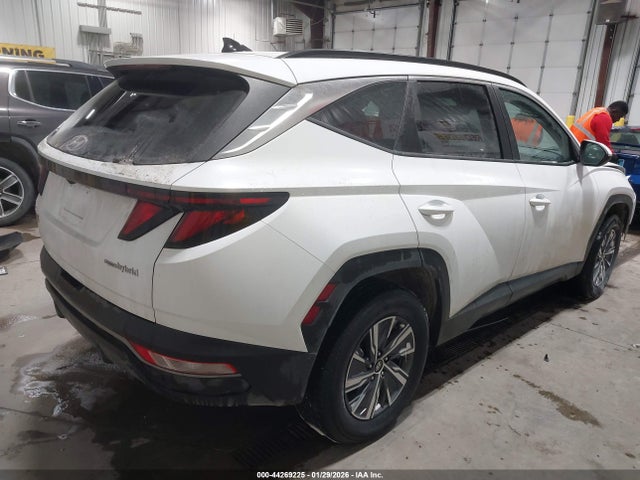 2024 HYUNDAI TUCSON HYBRID KM8JBCD12RU205436 Photo 3