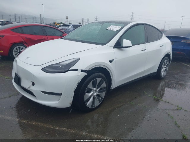 2023 TESLA MODEL Y 7SAYGDEE3PF666150 Photo 1