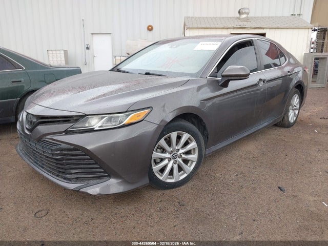 4T1B11HK1KU291021 Toyota CAMRY LE