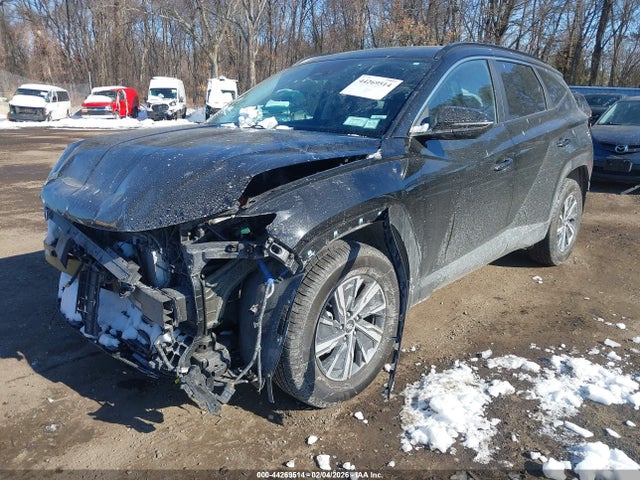 2023 HYUNDAI TUCSON HYBRID KM8JBCA16PU097128 Photo 1