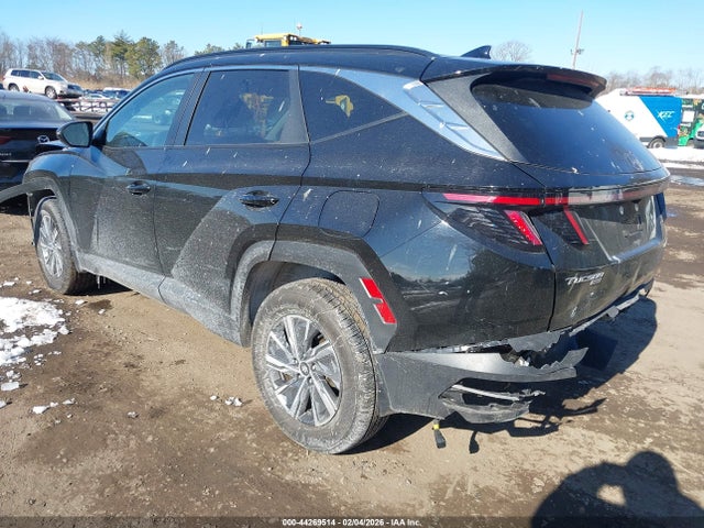 2023 HYUNDAI TUCSON HYBRID KM8JBCA16PU097128 Photo 2