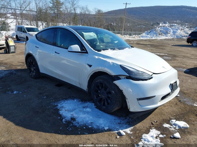 2023 TESLA MODEL Y 7SAYGDEE4PF827654 Photo 0
