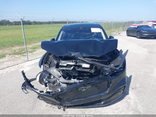 Ford Mustang Mach-e Premium 2025 3FMTK3SU0SMA11021 Image 13