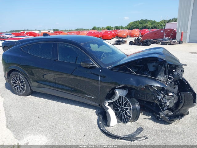 Ford Mustang Mach-e Premium 2025 3FMTK3SU0SMA11021 Image 14