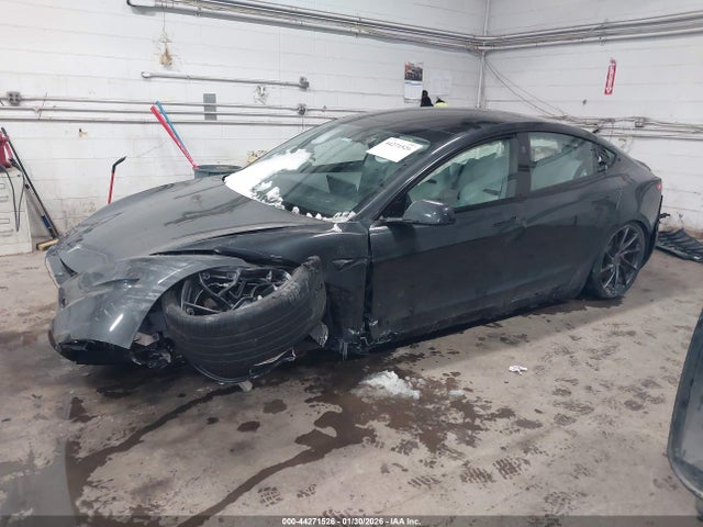 2025 TESLA MODEL 3 5YJ3E1ET8SF067733 Photo 3