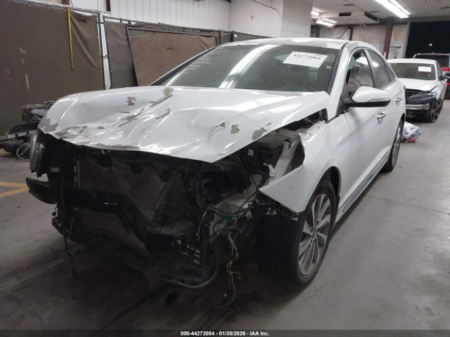 Hyundai Sonata Sport 2016 5NPE34AF2GH398459 Image 2