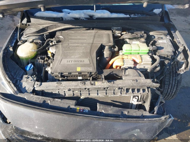 KMHC65LC1KU168316 Hyundai Ioniq Hybrid Blue