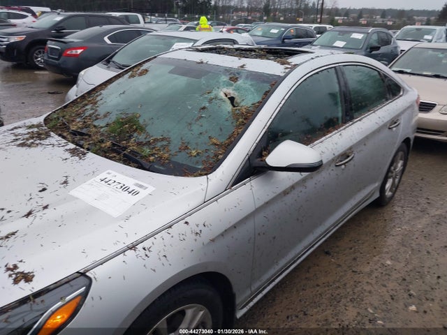 5NPE34AF5JH710135 Hyundai Sonata Sport+
