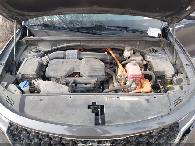 KNDRHDLG5P5174031 KIA Sorento Hybrid Ex
