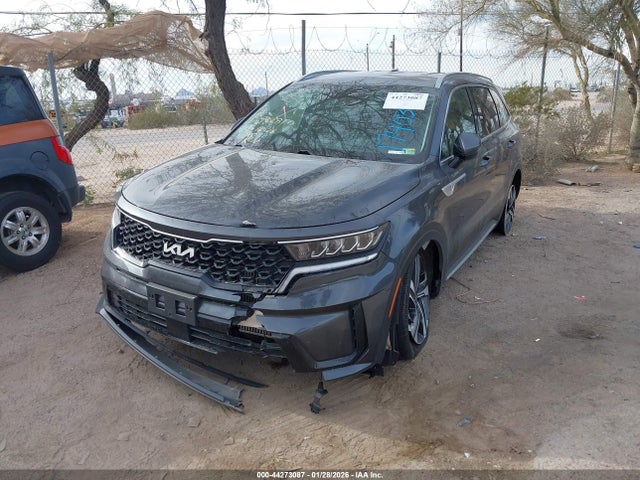 KNDRHDLG5P5174031 KIA Sorento Hybrid Ex