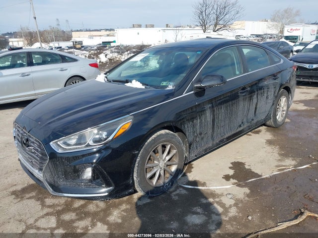 5NPE24AF7JH605051 Hyundai SONATA SE