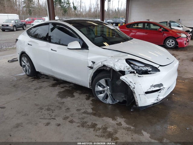 2021 TESLA MODEL Y 5YJYGDEE9MF067875 Photo 0