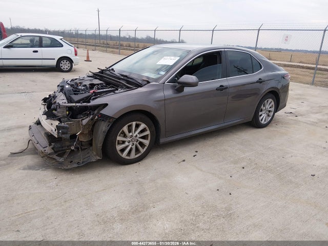 4T1C11AKXMU407334 Toyota CAMRY LE