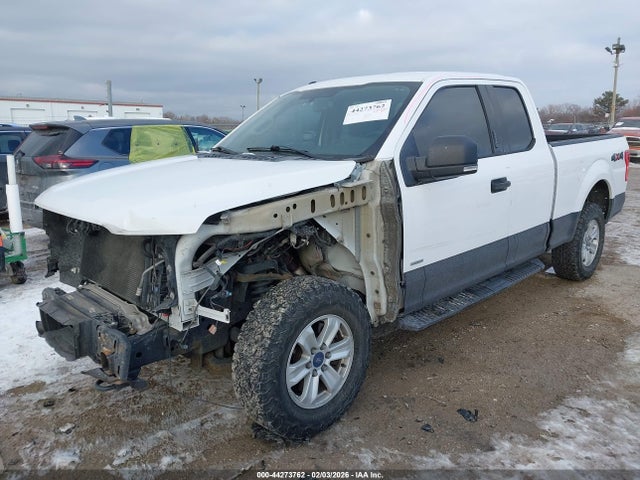 1FTFX1EGXFKD37984 Ford F-150 Xlt