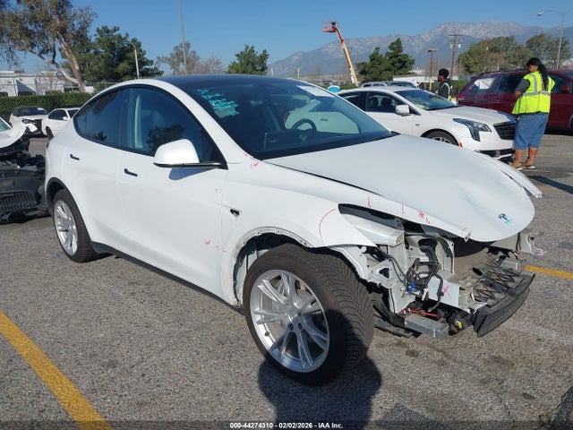 2021 TESLA MODEL Y 5YJYGDEE1MF303693 Photo 0