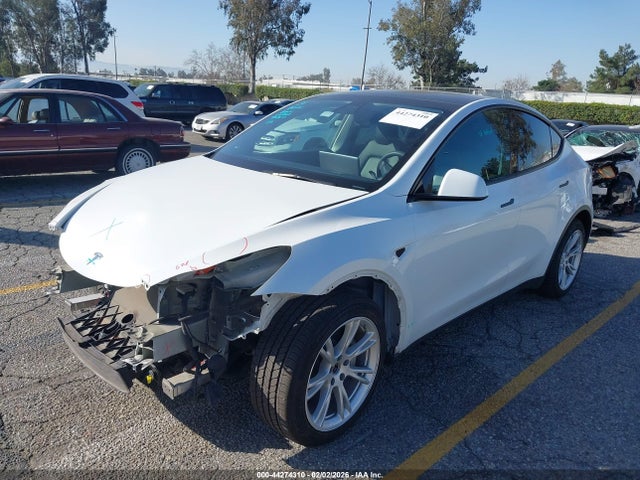 2021 TESLA MODEL Y 5YJYGDEE1MF303693 Photo 1