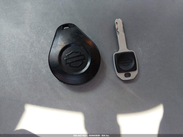 2021 HARLEY-DAVIDSON FXLRS 1HD1YWK23MB063133 Photo 10