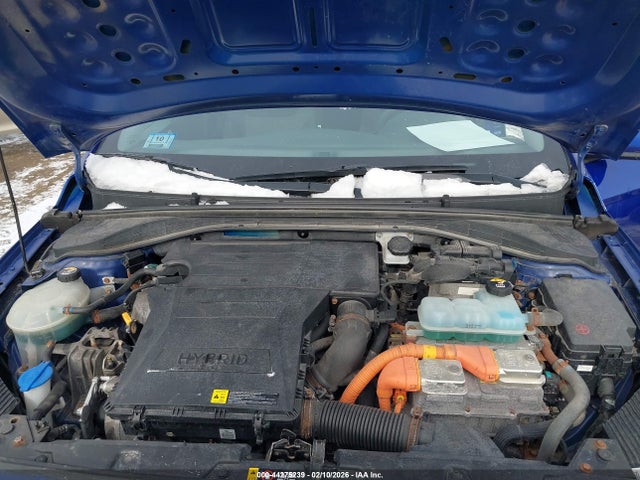 KMHC65LCXKU134374 Hyundai Ioniq Hybrid Blue