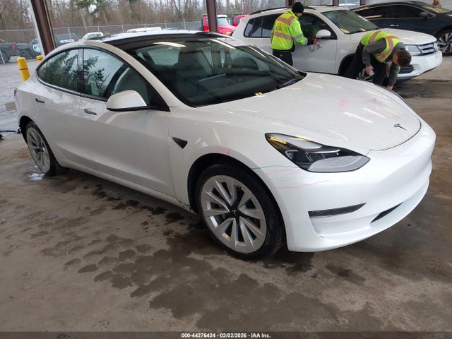 2023 TESLA MODEL 3 5YJ3E1EA4PF511549 Photo 0
