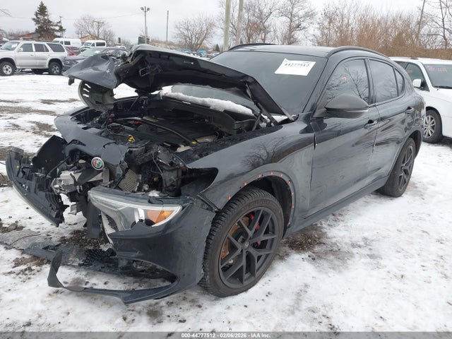 2019 ALFA ROMEO STELVIO ZASPAKAN2K7C71578 Photo 1