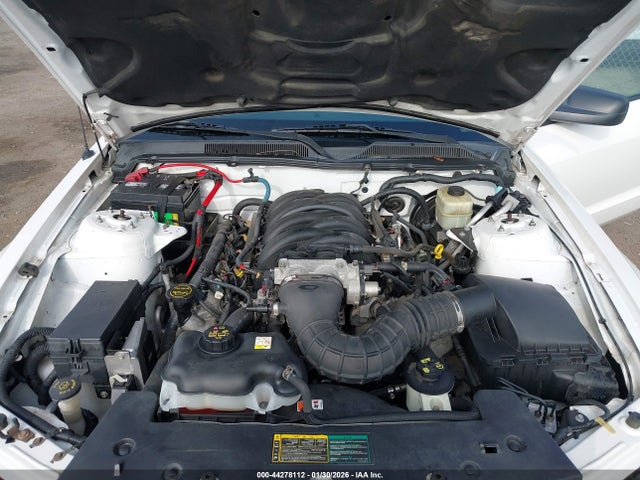 2006 FORD MUSTANG 1ZVHT82H465249342 Photo 9