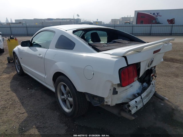 2006 FORD MUSTANG 1ZVHT82H465249342 Photo 2