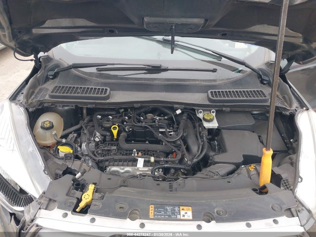 1FMCU0GD4KUA17613 Ford ESCAPE SE