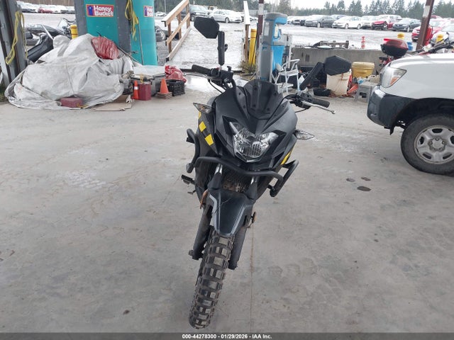 JKALE8B13LDA02905 Kawasaki Kle300 B