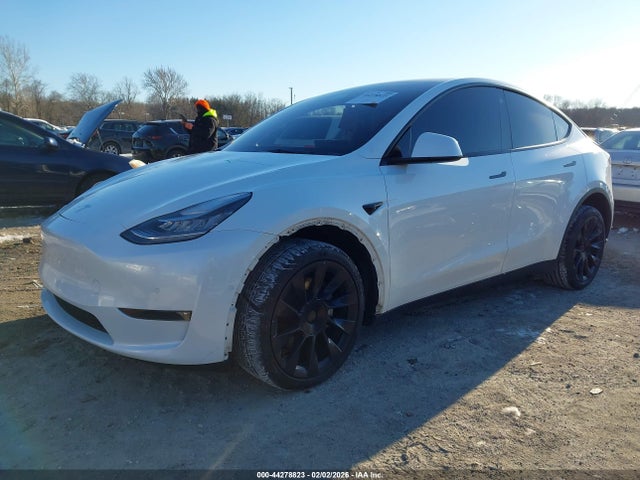 5YJYGDEE9MF239399 Tesla Model Y Long Range Dual Motor All-wheel Drive